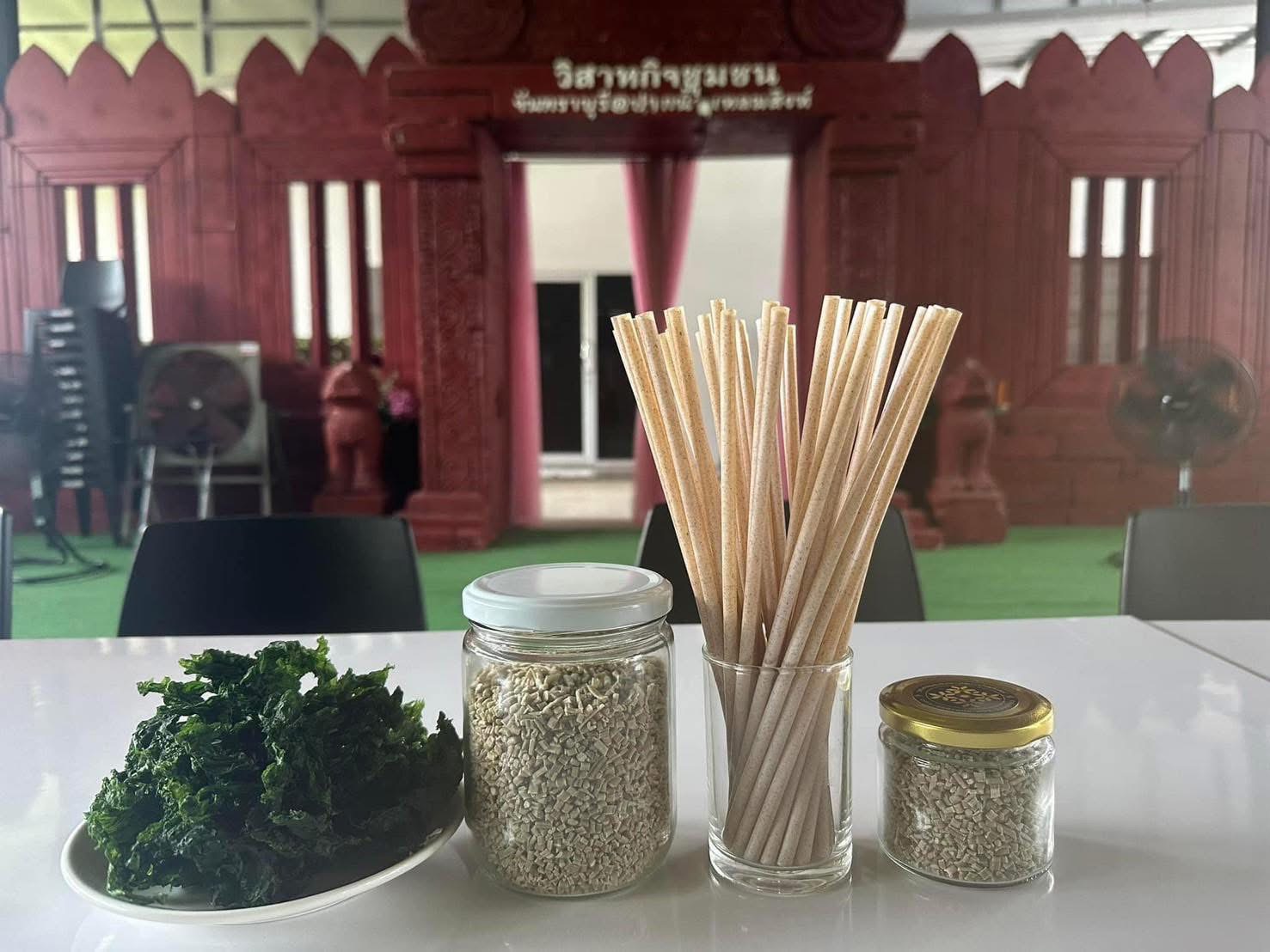 หลอดดูดน้ำรักษ์โลก 100% Plant-Based จากสาหร่ายผักกาดทะเล
